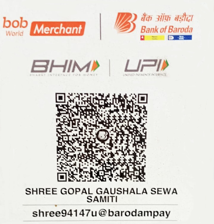 Donation QR Code